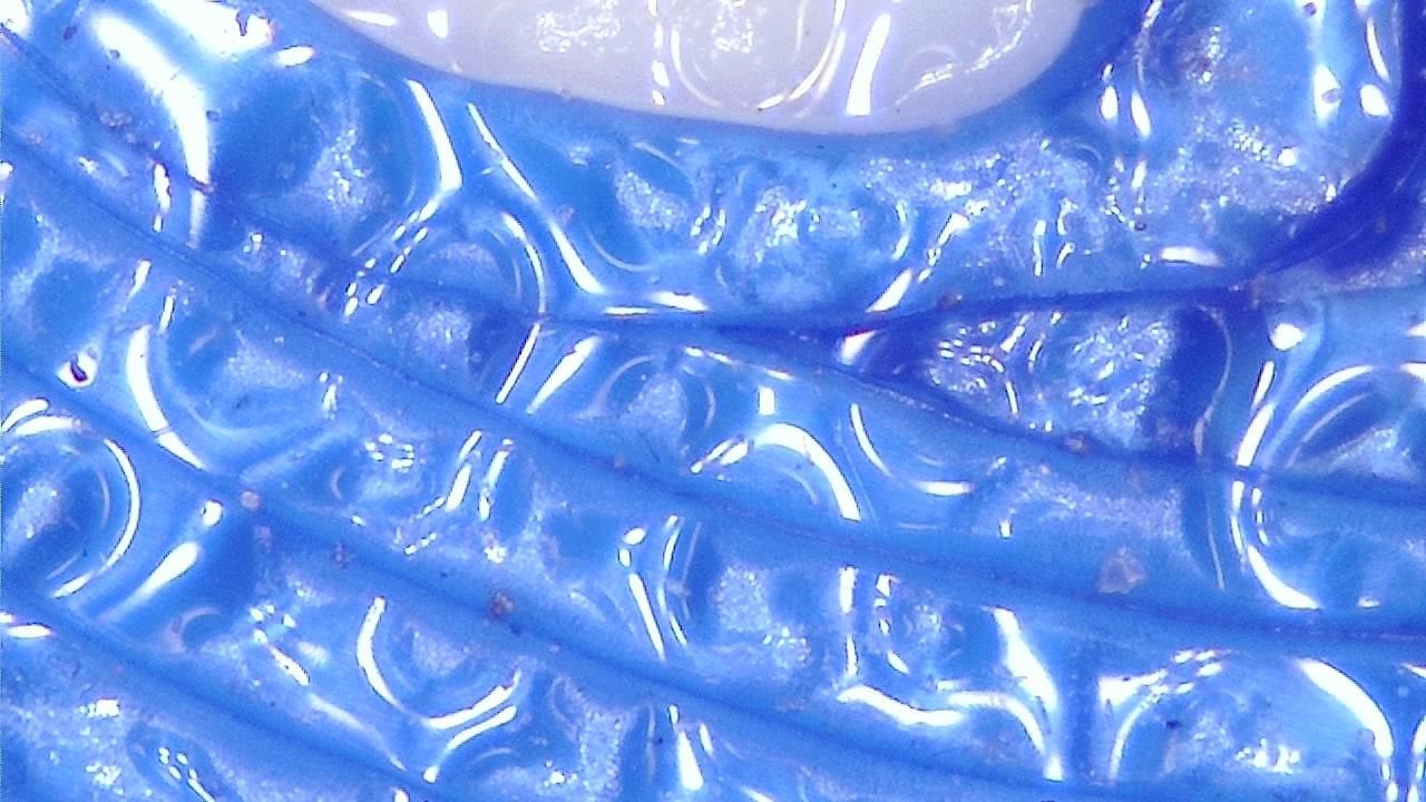 3D Inspection d'impression Exemple d’image microscopique 5