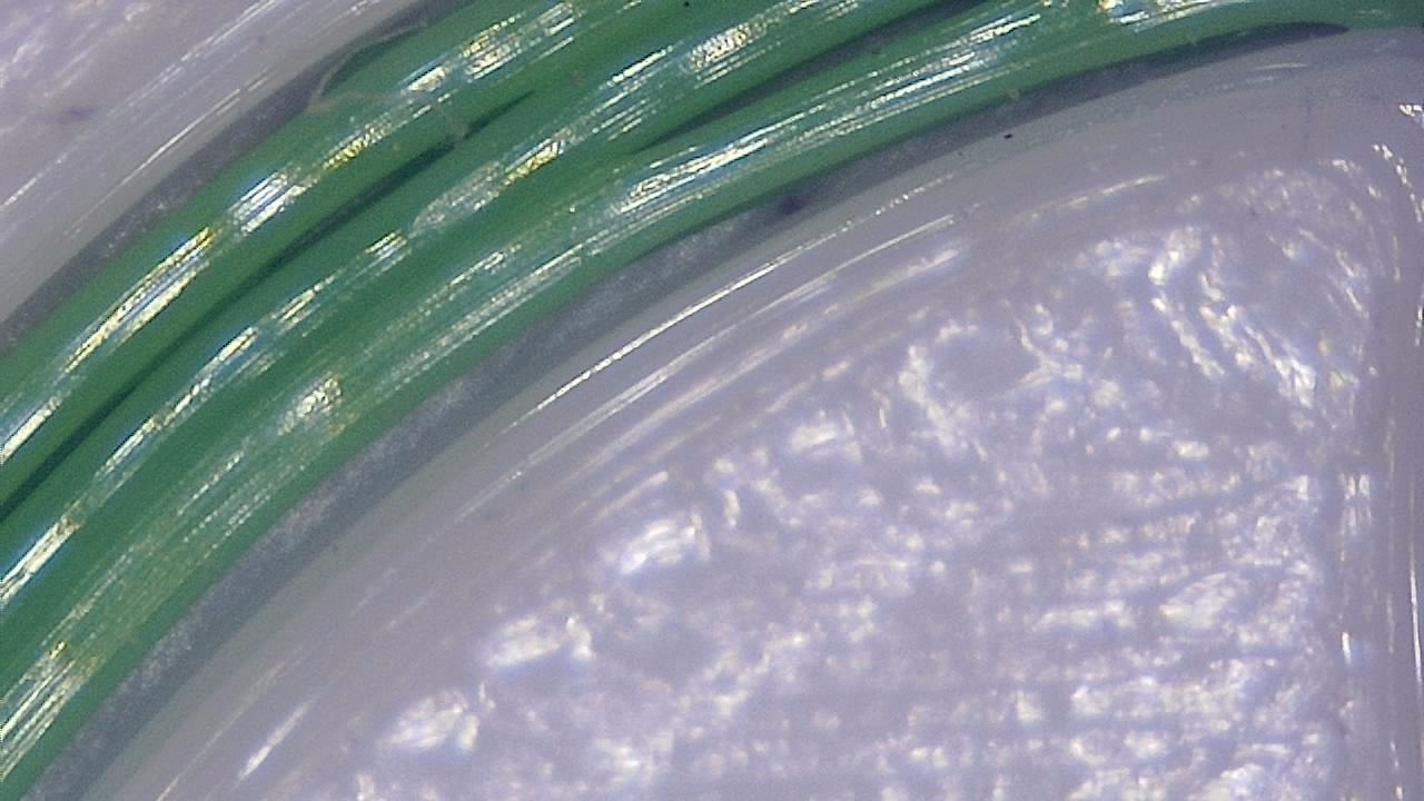 3D Inspection d'impression Exemple d’image microscopique 12