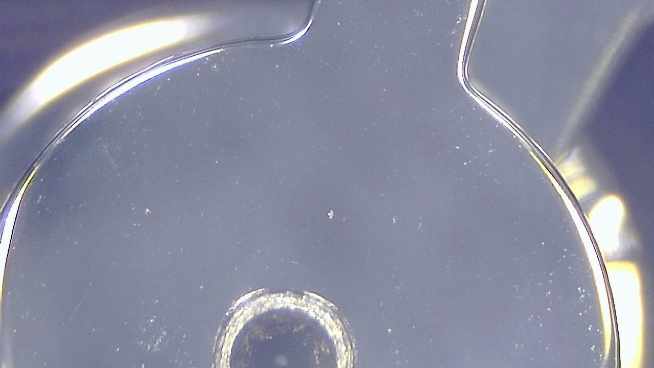 Schmuckinspektion und Detaildokumentation Mikroskopisches Beispielbild 1