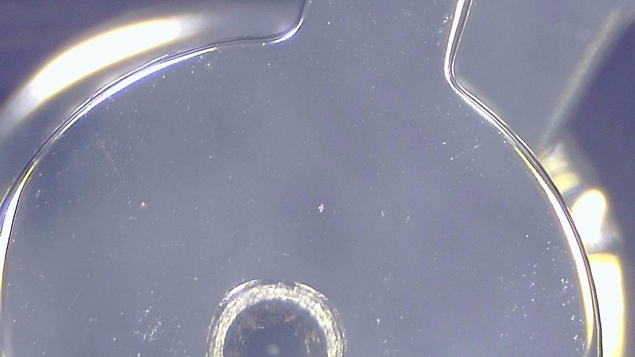 Schmuckinspektion und Detaildokumentation Mikroskopisches Beispielbild 1