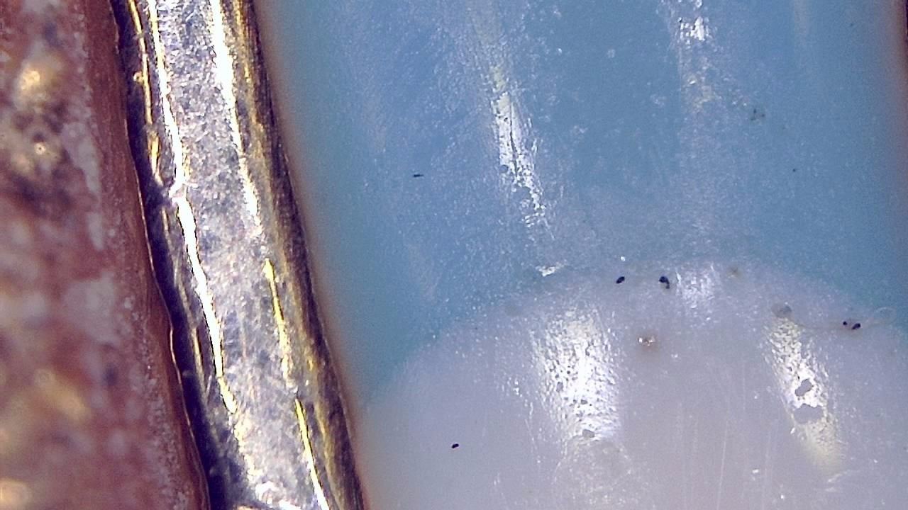 Schmuckinspektion und Detaildokumentation Mikroskopisches Beispielbild 9