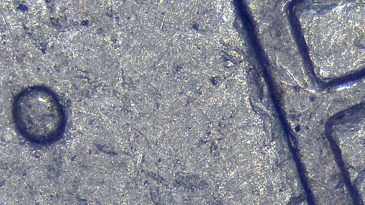 Schmuckinspektion und Detaildokumentation Mikroskopisches Beispielbild 14