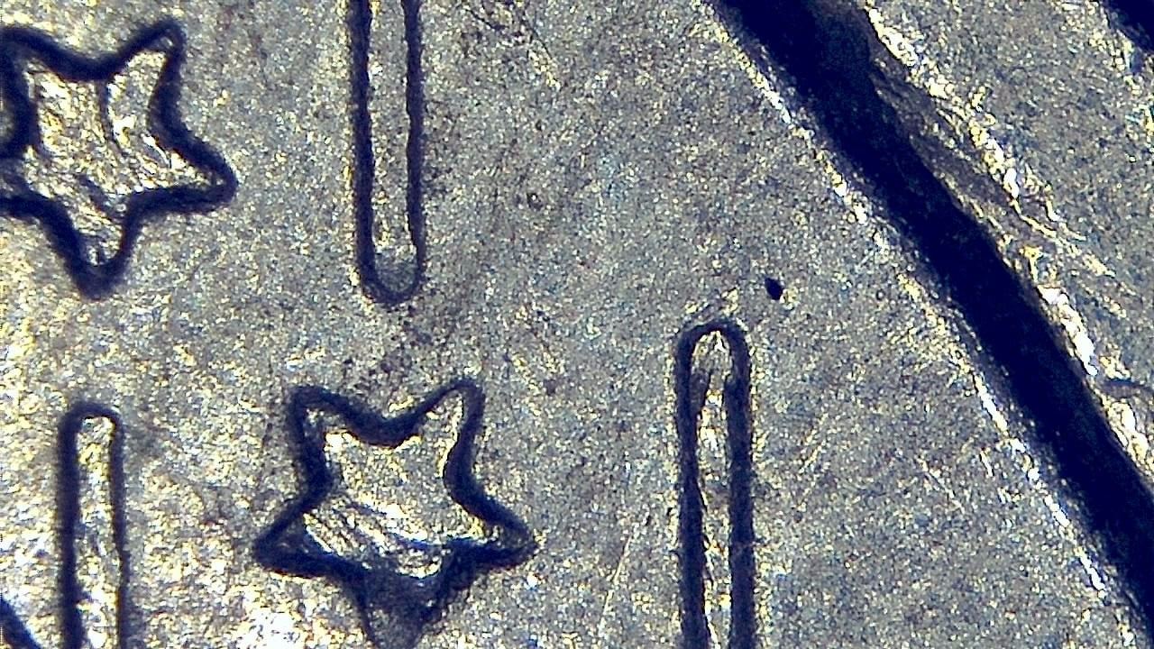 STEM 강의실 및 교육 실험실 현미경 시료 이미지 예시 10