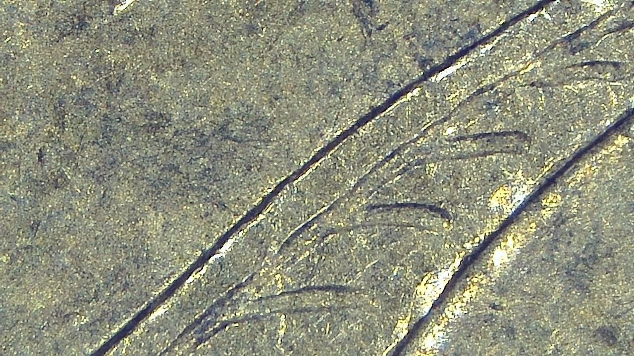 Schmuckinspektion und Detaildokumentation Mikroskopisches Beispielbild 21