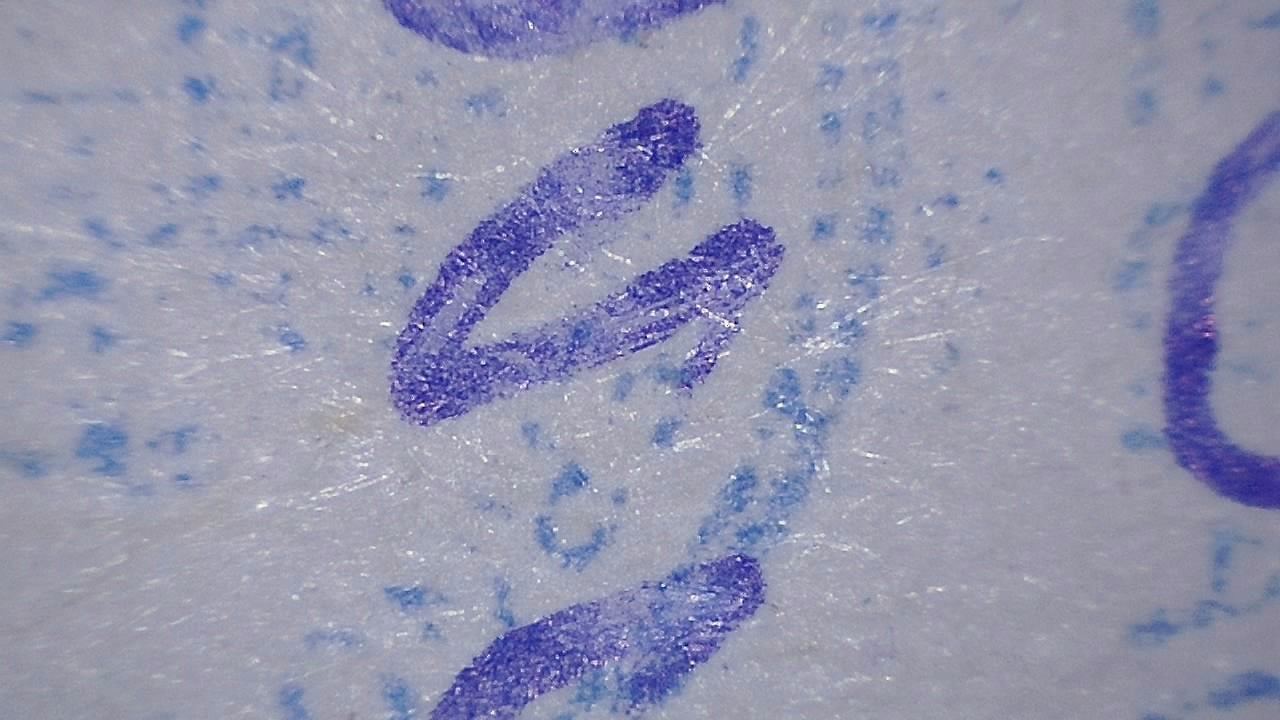 Ispezione forense della superficie Immagine microscopica di esempio 1
