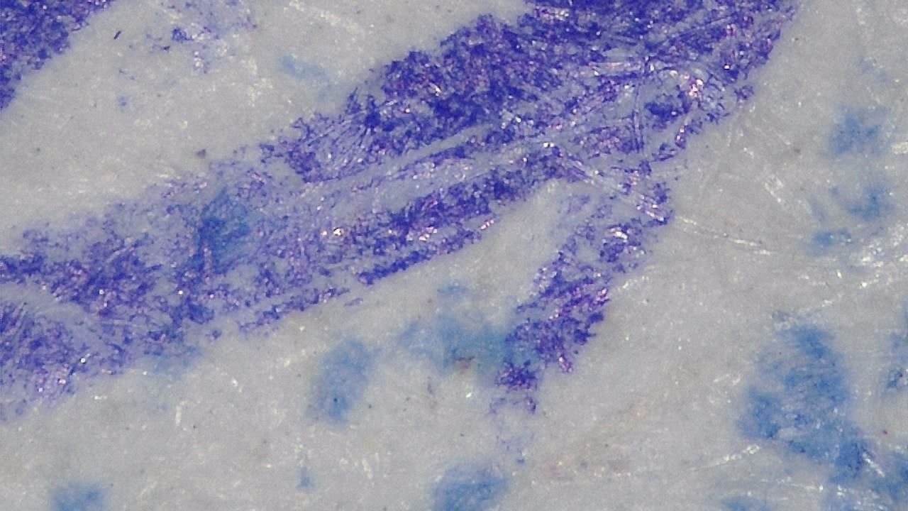 Ispezione forense della superficie Immagine microscopica di esempio 4