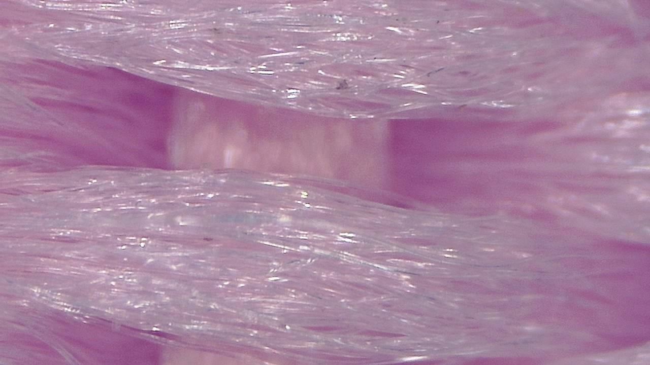 STEM 강의실 및 교육 실험실 현미경 시료 이미지 예시 13