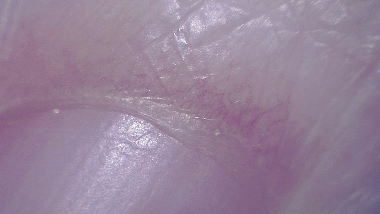 STEM 강의실 및 교육 실험실 현미경 시료 이미지 예시 17