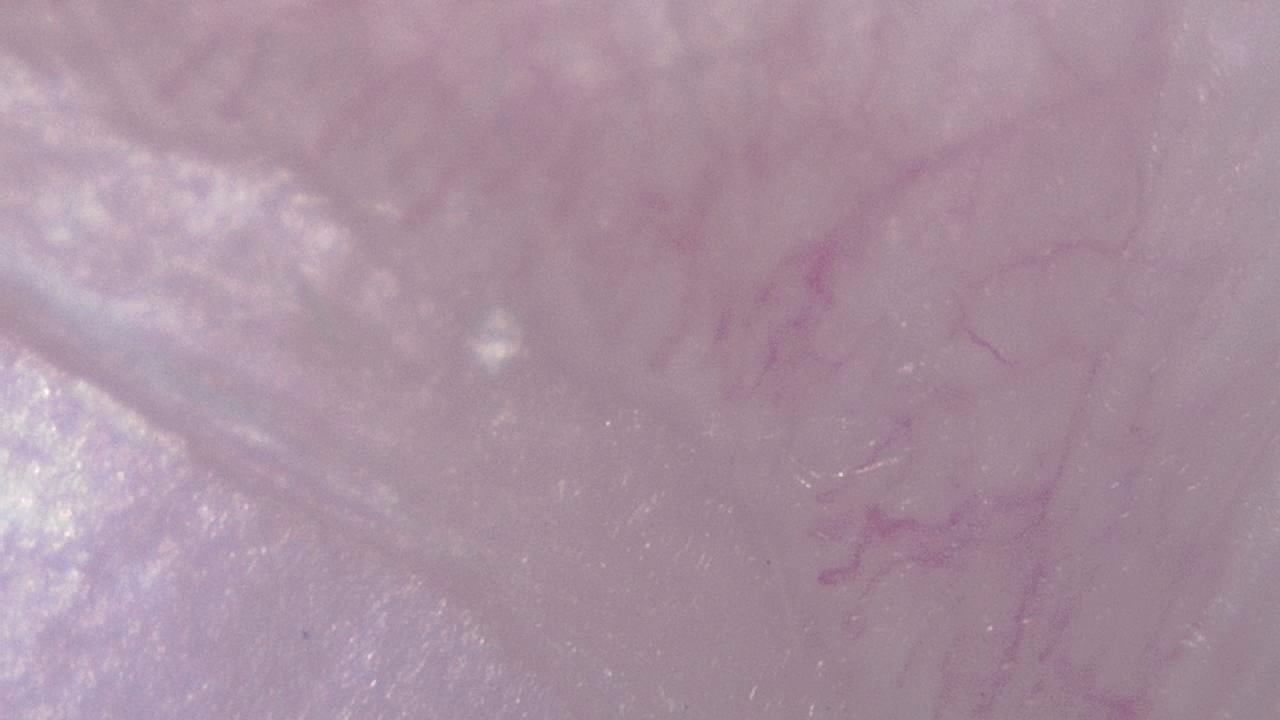 STEM 강의실 및 교육 실험실 현미경 시료 이미지 예시 19