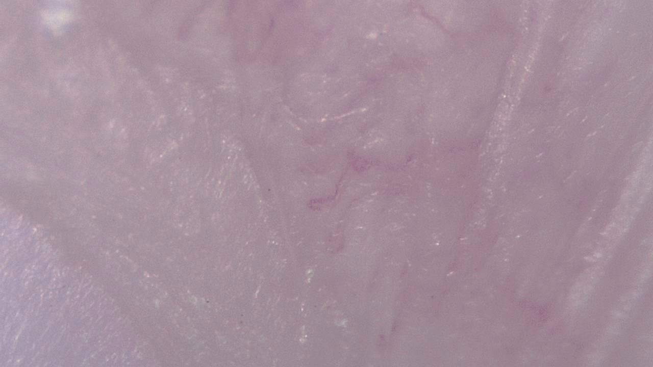STEM 강의실 및 교육 실험실 현미경 시료 이미지 예시 20