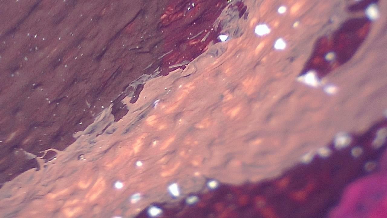Restauro e Conservação Imagem de exemplo de microscopia 1