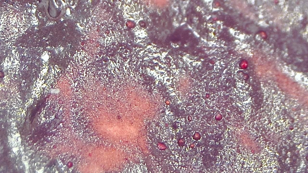 Restauro e Conservação Imagem de exemplo de microscopia 5