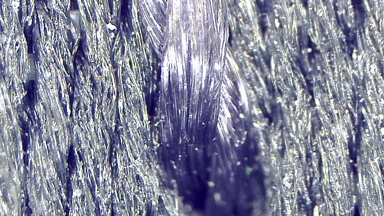Textil- und Faserinspektion Mikroskopisches Beispielbild 5