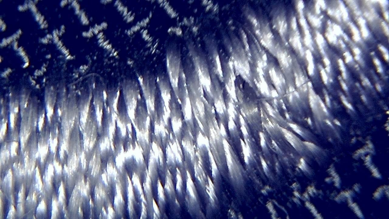 STEM 강의실 및 교육 실험실 현미경 시료 이미지 예시 34