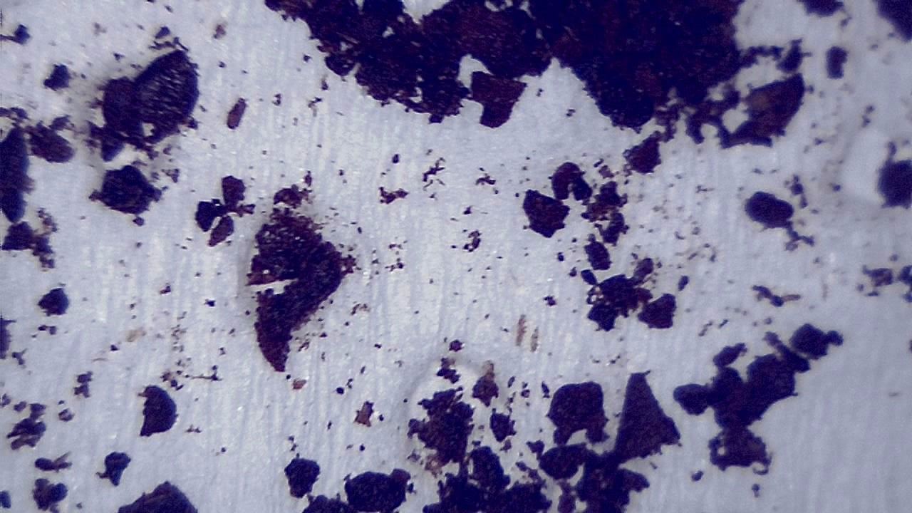 Lebensmittelindustrie Mikroskopisches Beispielbild 3