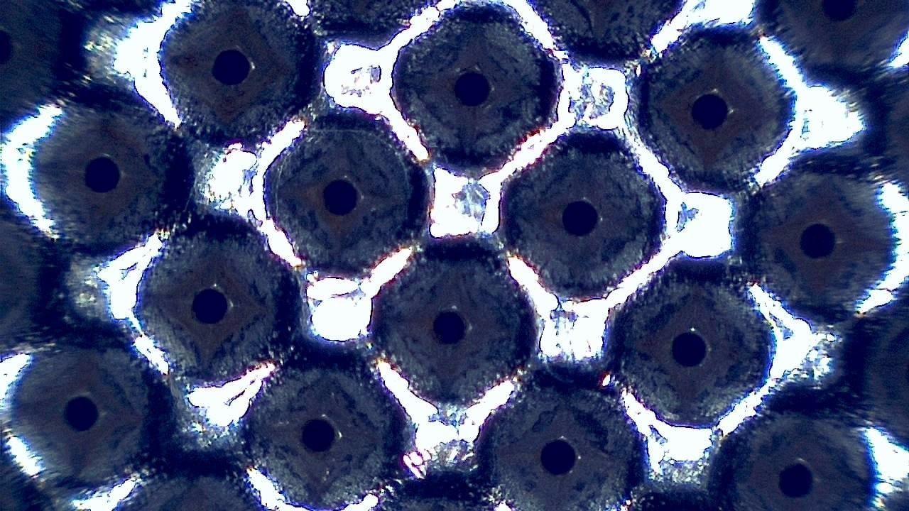 Qualitätskontrolle und Sichtprüfung Mikroskopisches Beispielbild 4
