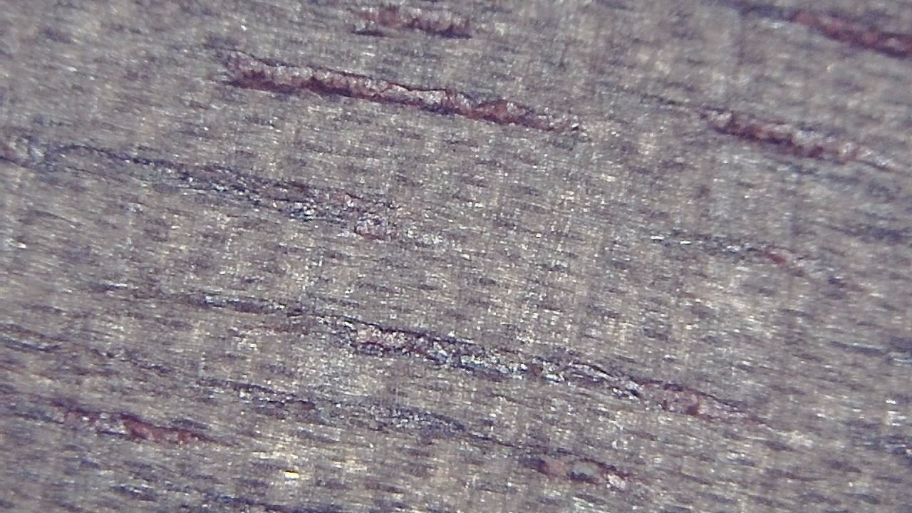 Qualitätskontrolle und Sichtprüfung Mikroskopisches Beispielbild 13