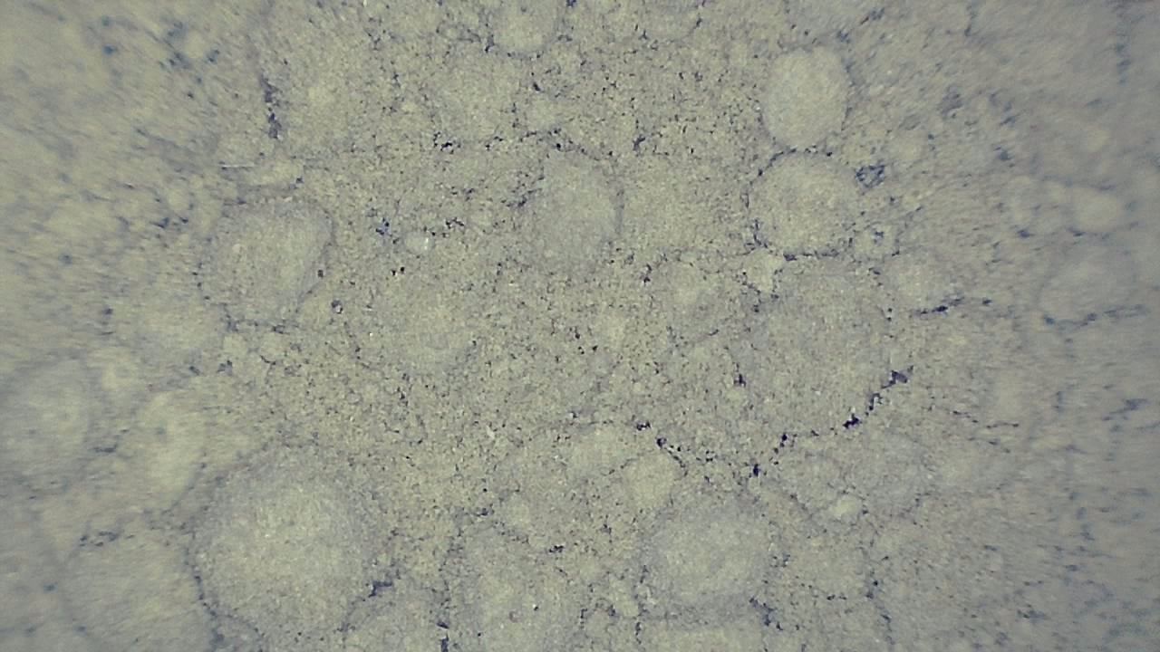 Lebensmittelindustrie Mikroskopisches Beispielbild 7