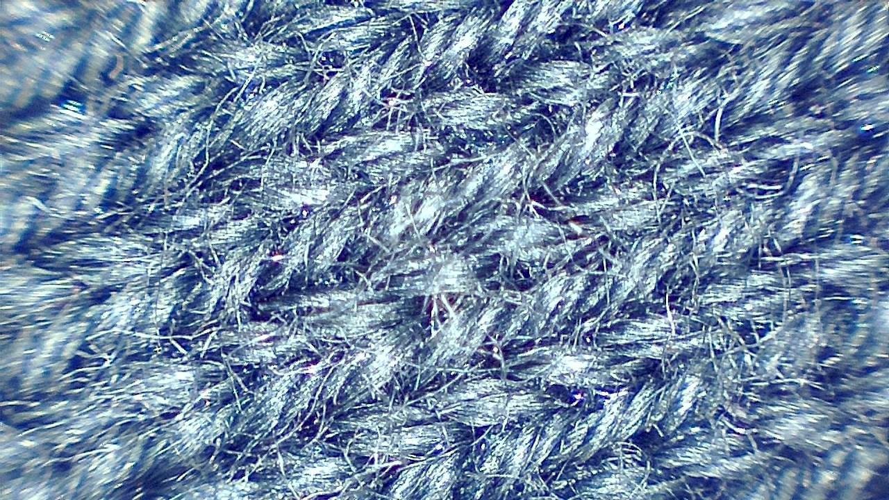 Textil- und Faserinspektion Mikroskopisches Beispielbild 8