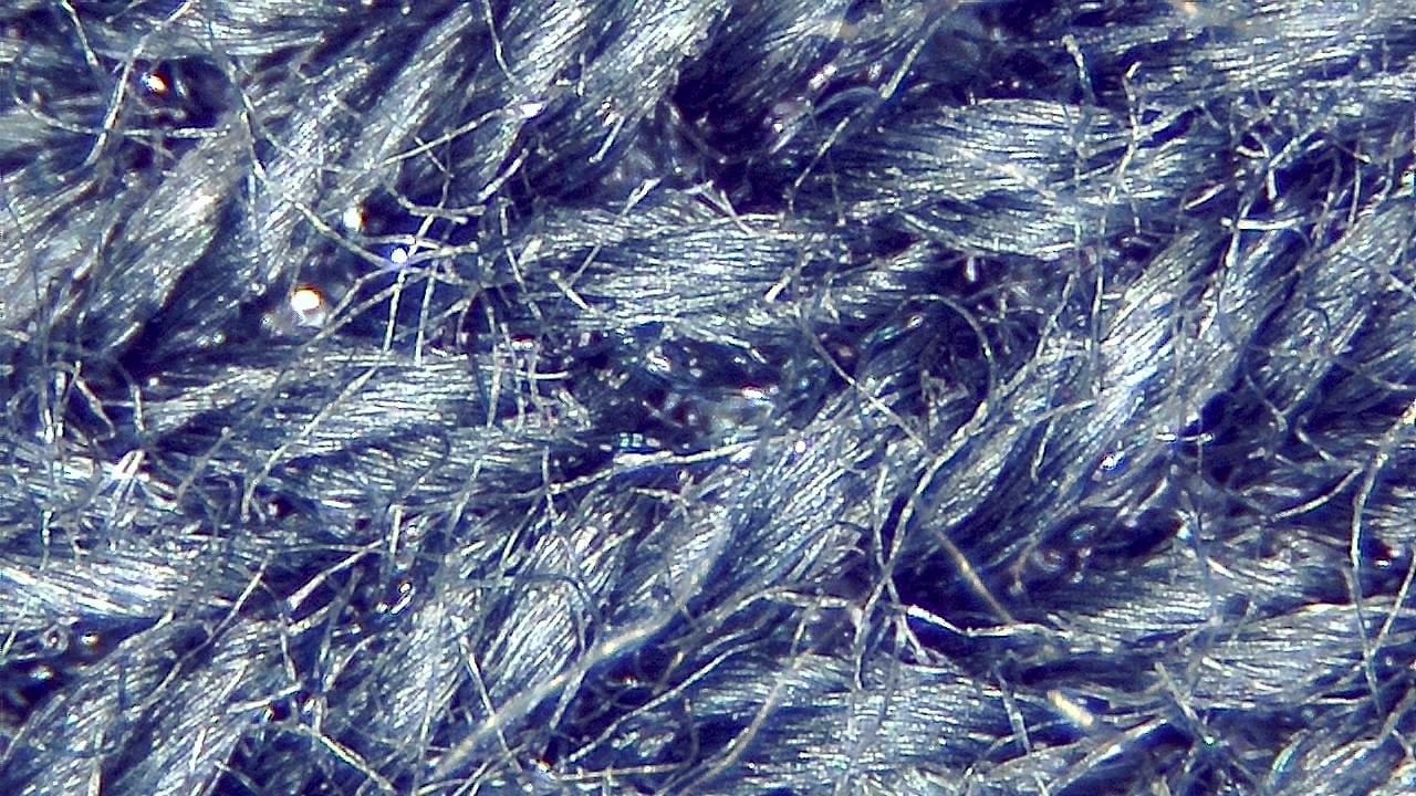 Textil- und Faserinspektion Mikroskopisches Beispielbild 9