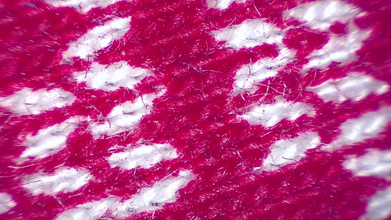 Textil- und Faserinspektion Mikroskopisches Beispielbild 11