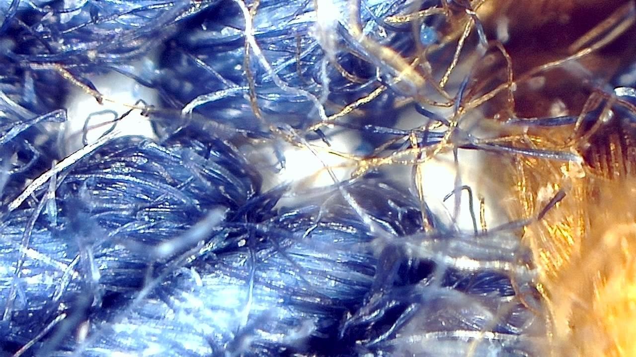 Textil- und Faserinspektion Mikroskopisches Beispielbild 17