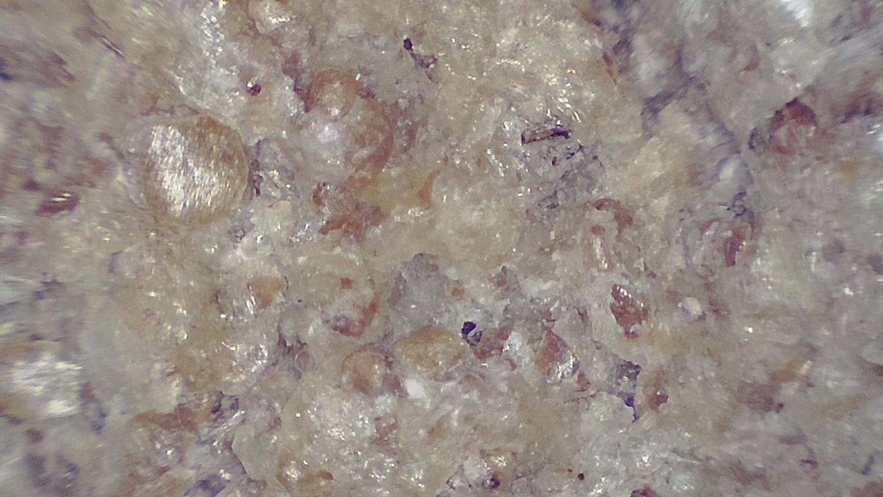 Lebensmittelindustrie Mikroskopisches Beispielbild 8